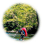 Views of the Chilean Lakes District