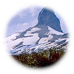 Views of the Chilean Lakes District