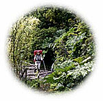 Views of the Chilean Lakes District