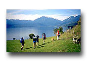 Trekking through the Chilean Lakes District
